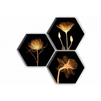 SAF Set of 3 Hexagon Preety Brown Floral UV Textured MDF Home Decorative Gift Item Painting 17 Inch X 17 Inch SANFHX15SMALL