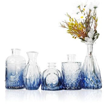 Nostrae by Ekhasa 100% Crystal Clear Glass Bud Vases Flower Pots for Home Decor (Set of 5) | Center Table Mini Decor Items | Transparent Glass Vase for Water Plants | Glass Planters for Indoor Plants