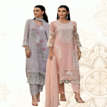 Premium Quality Organza Embroidered Readymade Collection (2 Pcs)