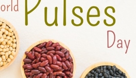 Dals & Pulses