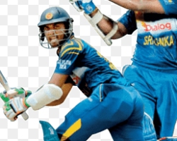 Cricket 